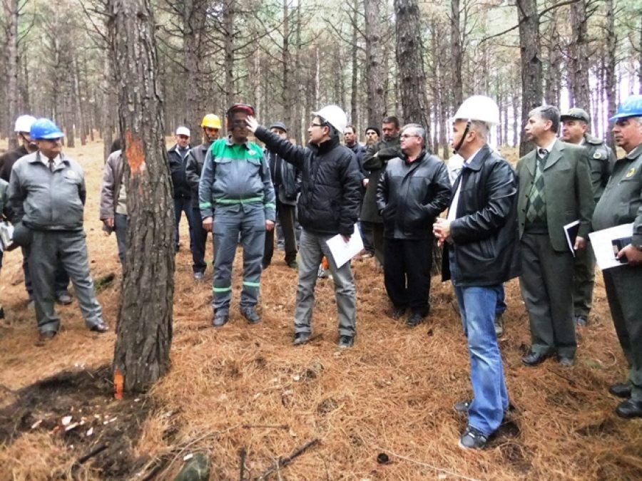 Orman Emvali Üretimi ve İş Güvenliği tatbikatı