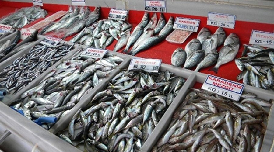  Balık fiyatları el yakacak