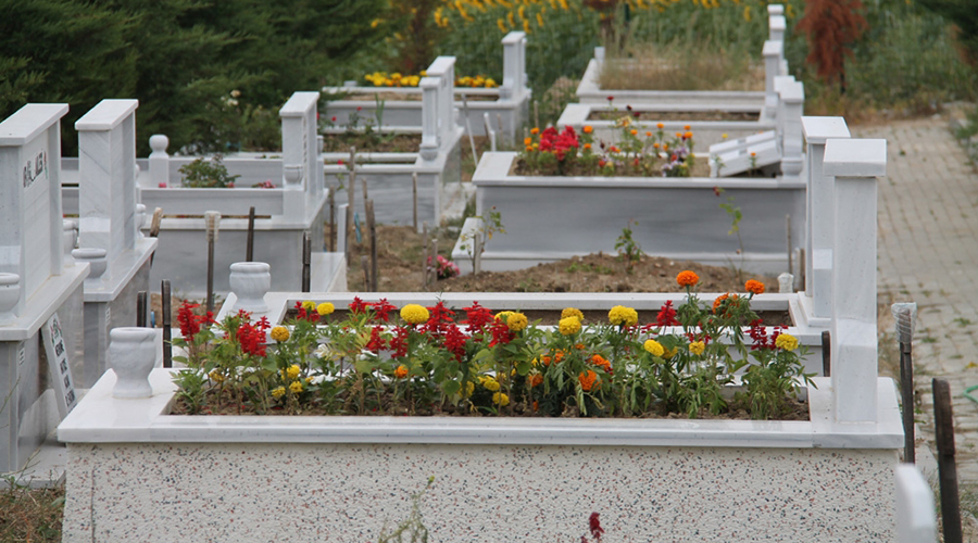 Mezarlıklara 50 bin çiçek 