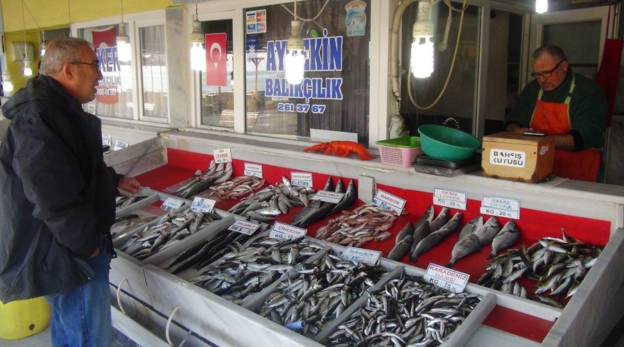 Havalar soğudu balık fiyatları arttı 