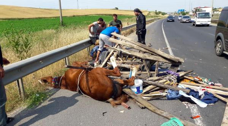 At Arabasındaki Üç Çocuk Yaralandı