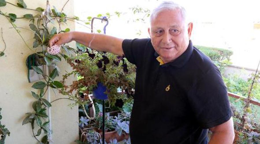 Prof. Dr. Gülen: Bitkiler taşınırsa, hepsi ölür