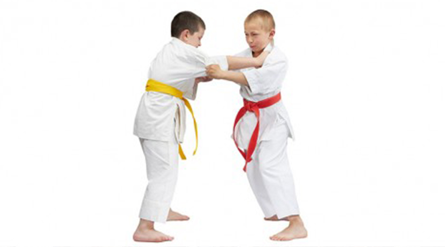 Ücretsiz judo kursu açılacak