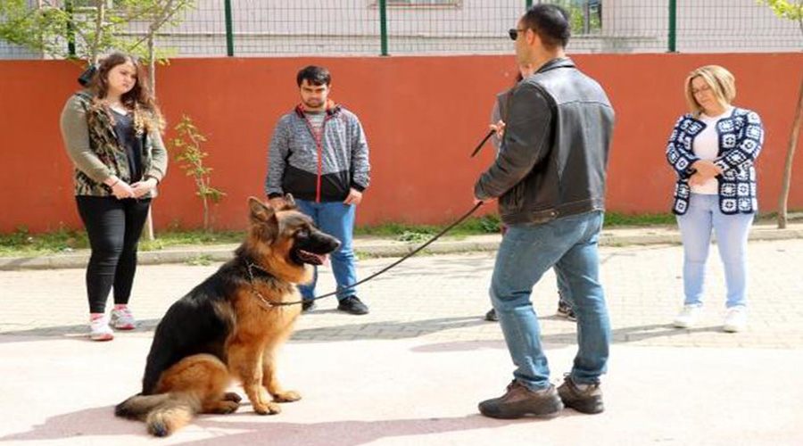 Köpek Eğitim Kursu açıldı 