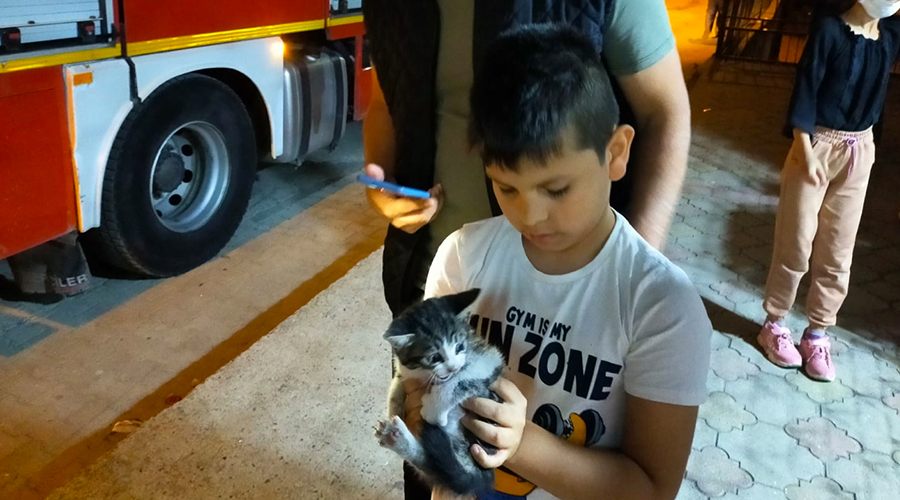 Asansör boşluğuna düşen yavru kediyi itfaiye kurtardı